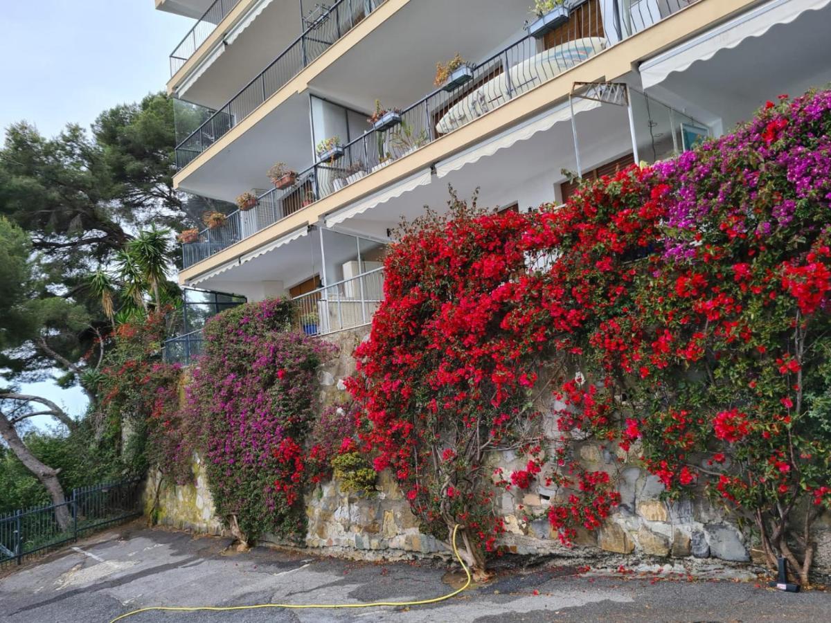 Rocce Di Capo Mimosa - Cervo Exterior foto